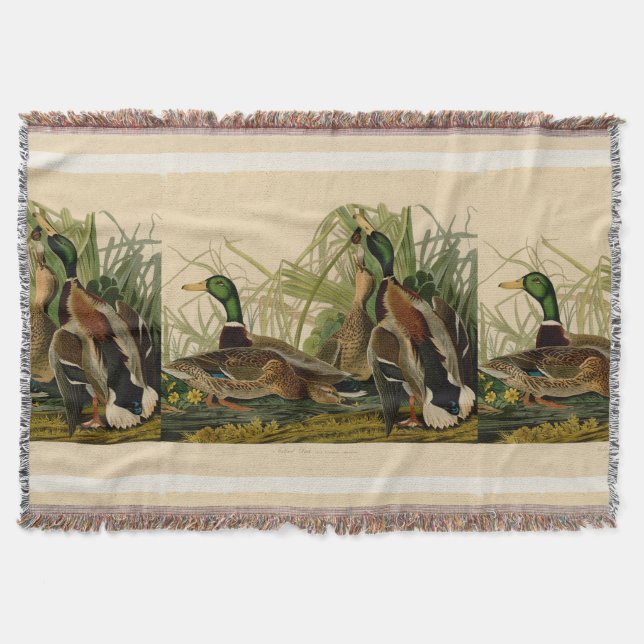 Mallard Duck Audubon Bird Painting Throw Blanket (Front)