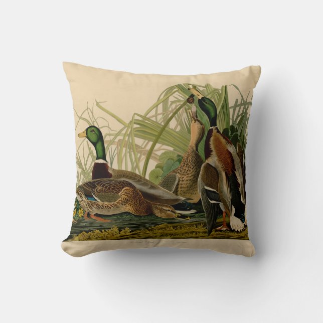 Mallard Duck Audubon Bird Painting Throw Pillow (Front)