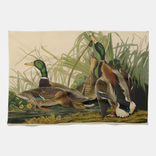 Mallard Duck Audubon Bird Painting Towel