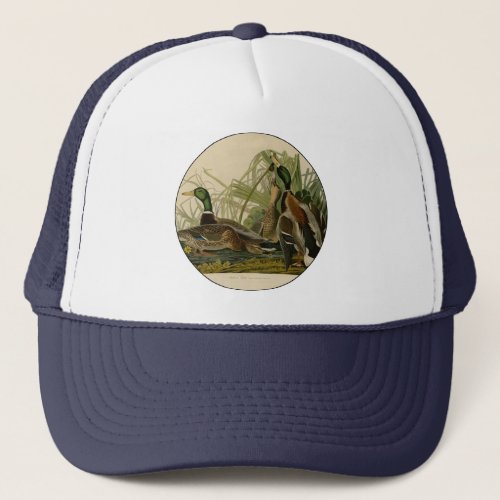 Mallard Duck Audubon Bird Painting Trucker Hat