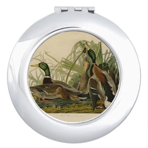 Mallard Duck Audubon Bird Painting Vanity Mirror