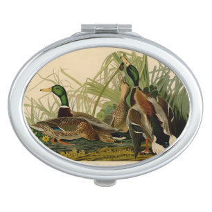 Mallard Duck Audubon Bird Painting Vanity Mirror
