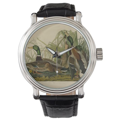 Mallard Duck Audubon Bird Painting Watch