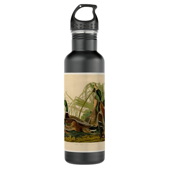 Mallard Duck Audubon Bird Painting Water Bottle (Front)