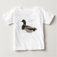 Mallard Duck