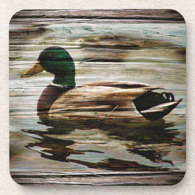 Mallard Duck Beverage Coaster (Front)