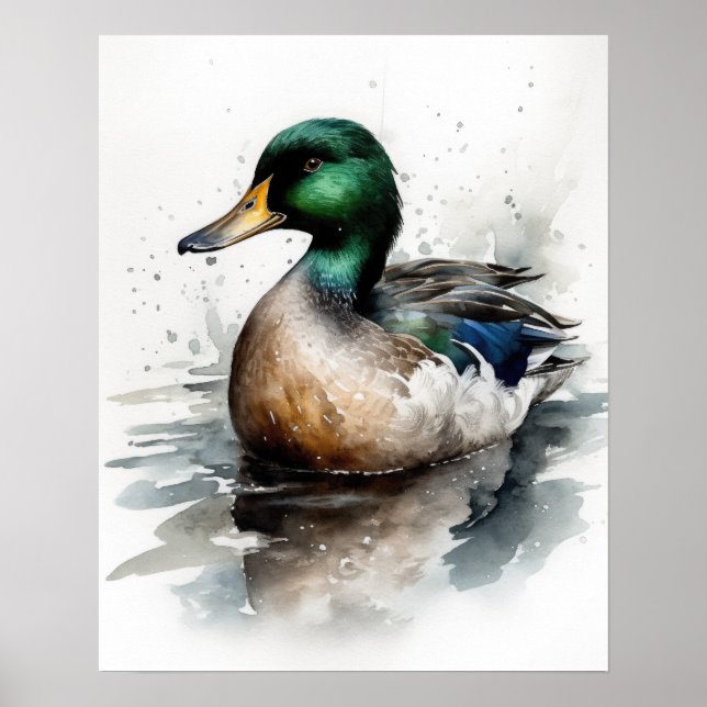 Mallard Duck Bird Art Print Poster (Front)