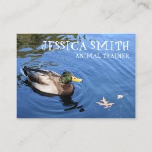 Mallard Duck Bird Blue Water Nature Photography Business Card