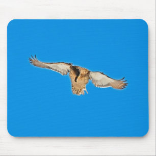 Mallard Duck Birdlover Wildlife Photo Mouse Pad