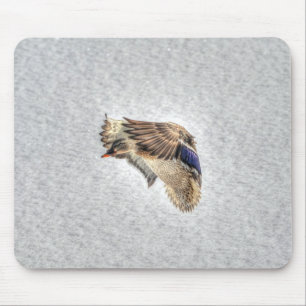 Mallard Duck Birdlover Wildlife Photo Mouse Pad