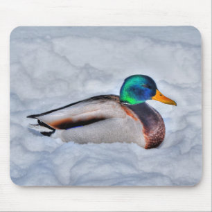 Mallard Duck Birdlover Wildlife Photo Mouse Pad