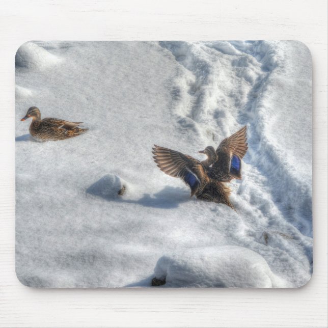 Mallard Duck Birdlover Wildlife Photo Mouse Pad (Front)