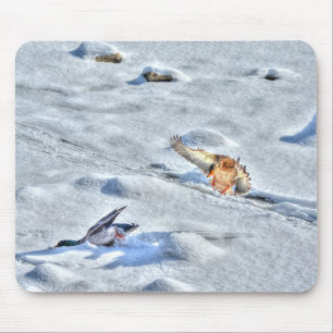 Mallard Duck Birdlover Wildlife Photo Mouse Pad