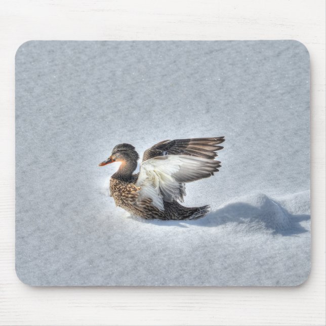 Mallard Duck Birdlover Wildlife Photo Mouse Pad (Front)