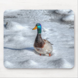 Mallard Duck Birdlover Wildlife Photo Mouse Pad