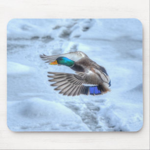 Mallard Duck Birdlover Wildlife Photo Mouse Pad