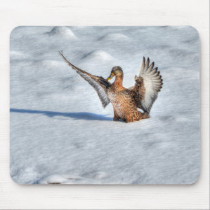 Mallard Duck Birdlover Wildlife Photo Mouse Pad