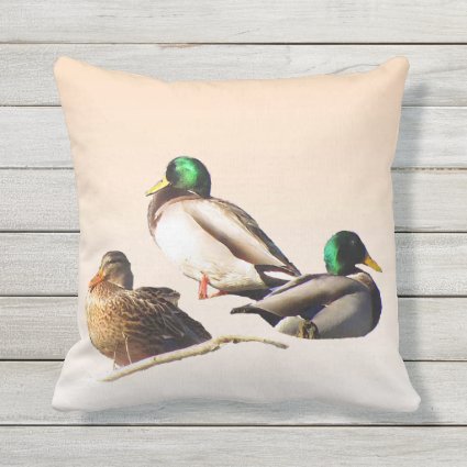 Mallard Duck Birds Animal Outdoor Pillow