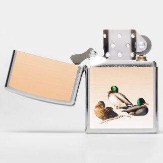 Mallard Duck Birds Wildlife Zippo Lighter