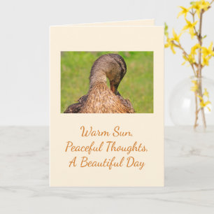 Mallard Duck Birthday Card