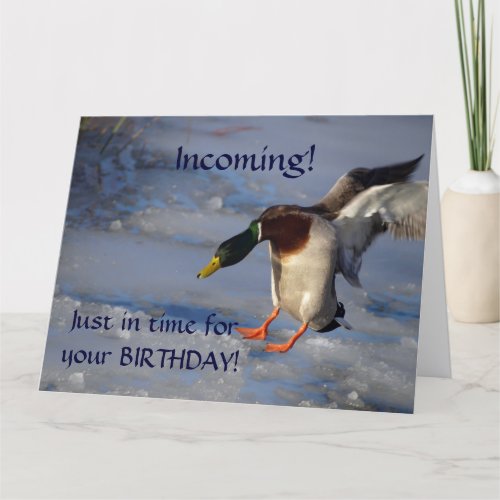 Mallard Duck Birthday Greeting Card