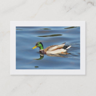 Mallard Duck (Bordered) Business Card