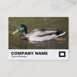 Mallard Duck Business Card