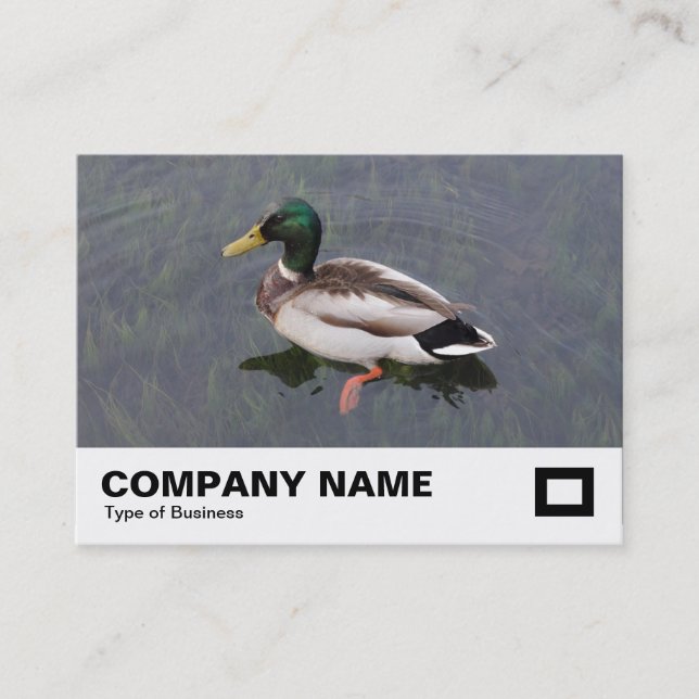 Mallard Duck Business Card (Front)