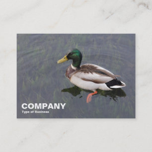 Mallard Duck Business Card