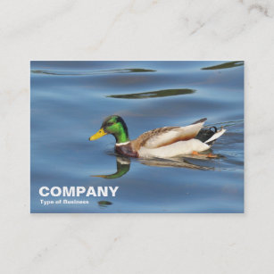 Mallard Duck Business Card