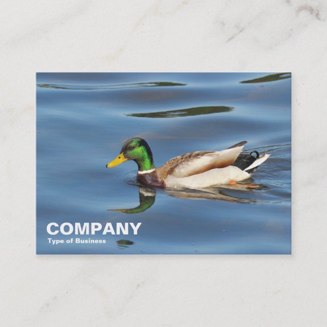 Mallard Duck Business Card (Front)