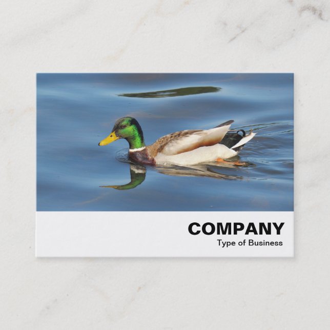 Mallard Duck Business Card (Front)