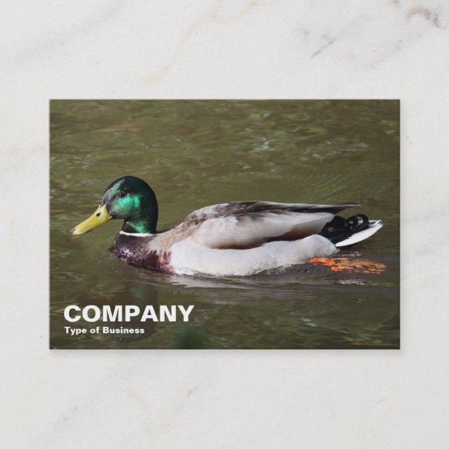 Mallard Duck Business Card (Front)