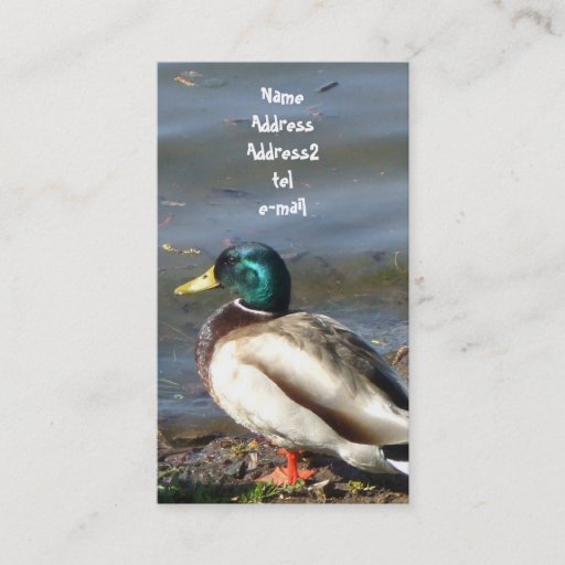 Customizable Mallard duck business card
