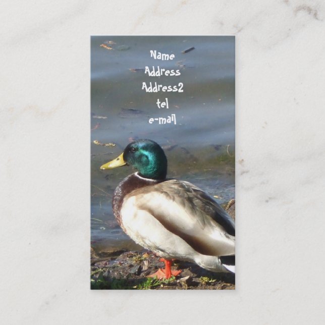 Mallard duck business card (Front)