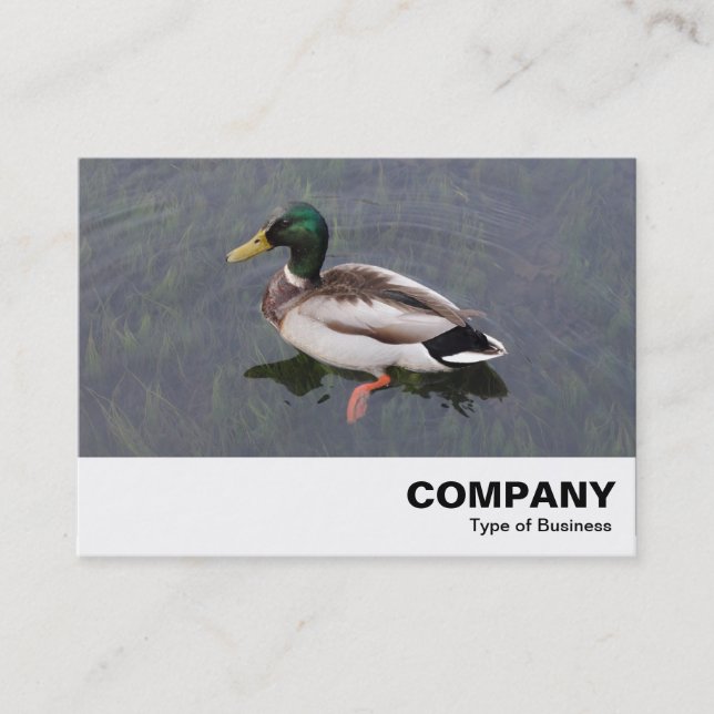 Mallard Duck Business Card (Front)