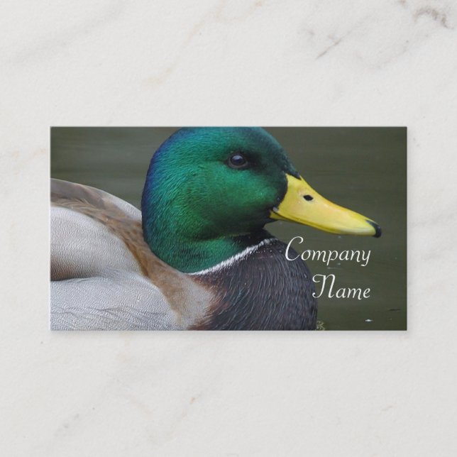 Mallard Duck Business Cards (Front)