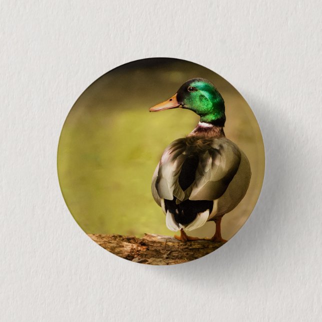 Mallard Duck Button (Front)