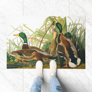 Mallard Duck by John James Audubon Doormat