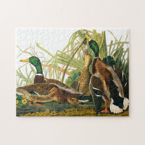 Mallard Duck by John James Audubon Jigsaw Puzzle