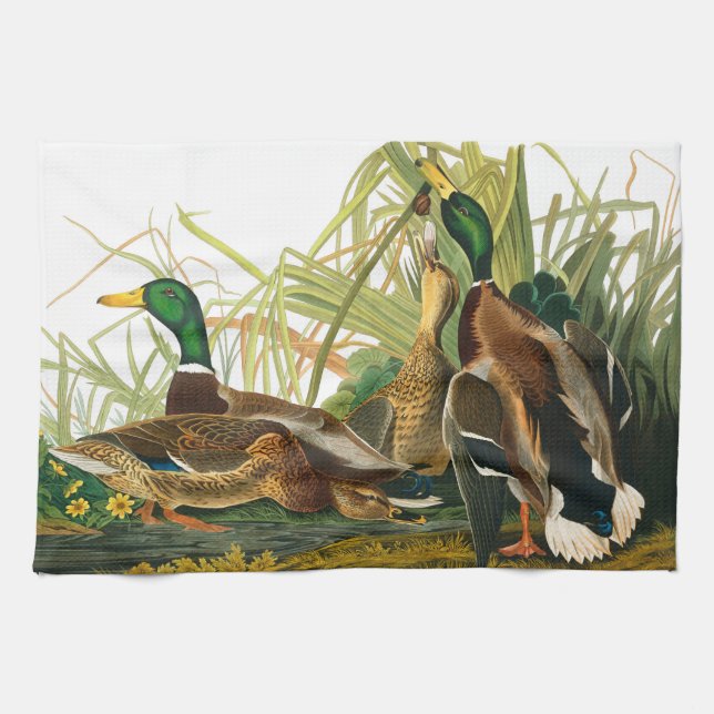 Mallard Duck by John James Audubon Kitchen Towel (Horizontal)