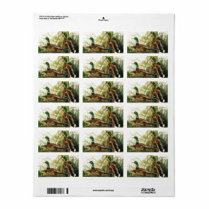 Mallard Duck by John James Audubon Label