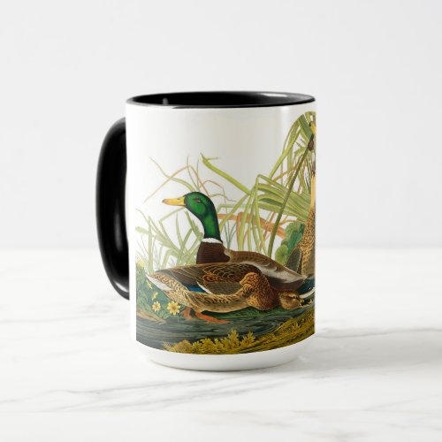 Mallard Duck by John James Audubon Mug