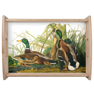 Mallard Duck by John James Audubon Serving Tray
