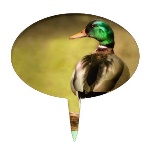 Mallard Duck Cake Topper