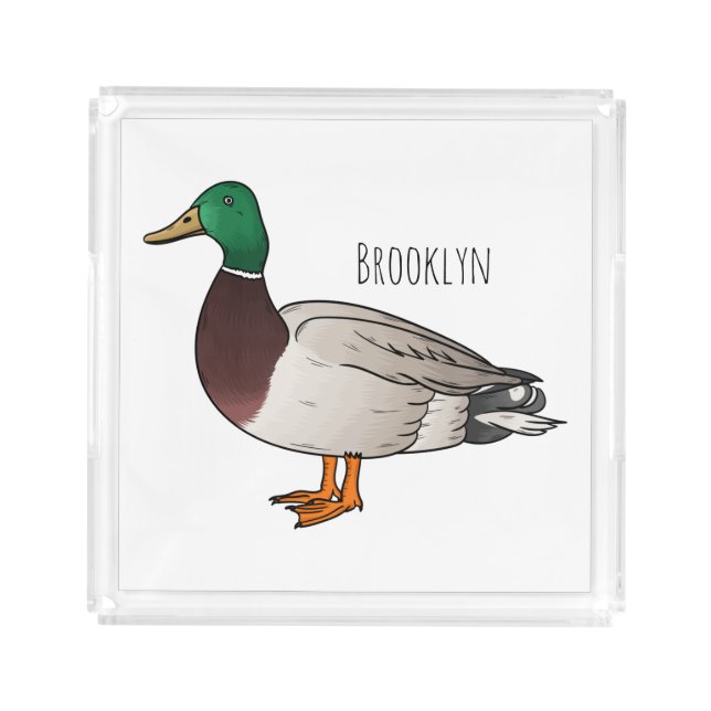 Mallard duck cartoon illustration acrylic tray (Front)