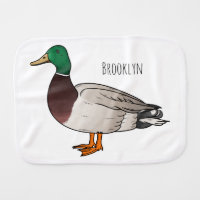 Mallard duck cartoon illustration