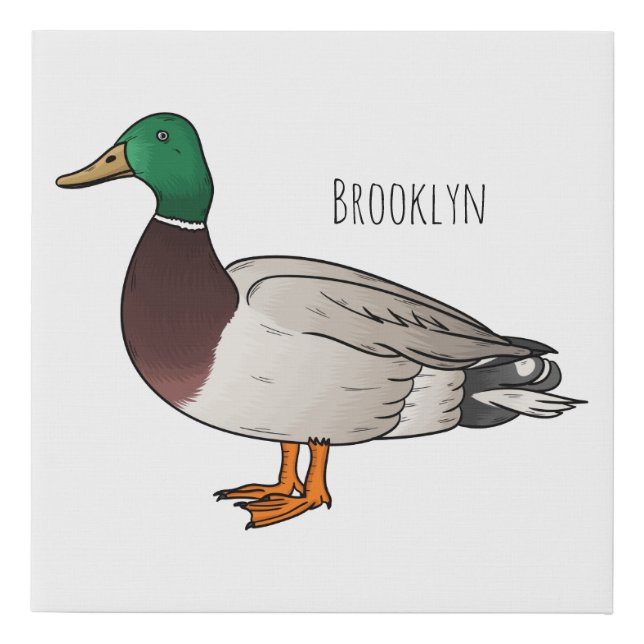Mallard duck cartoon illustration faux canvas print (Front)