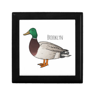 Mallard duck cartoon illustration gift box