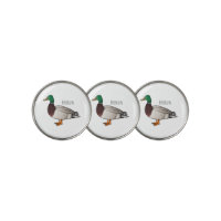 Mallard duck cartoon illustration